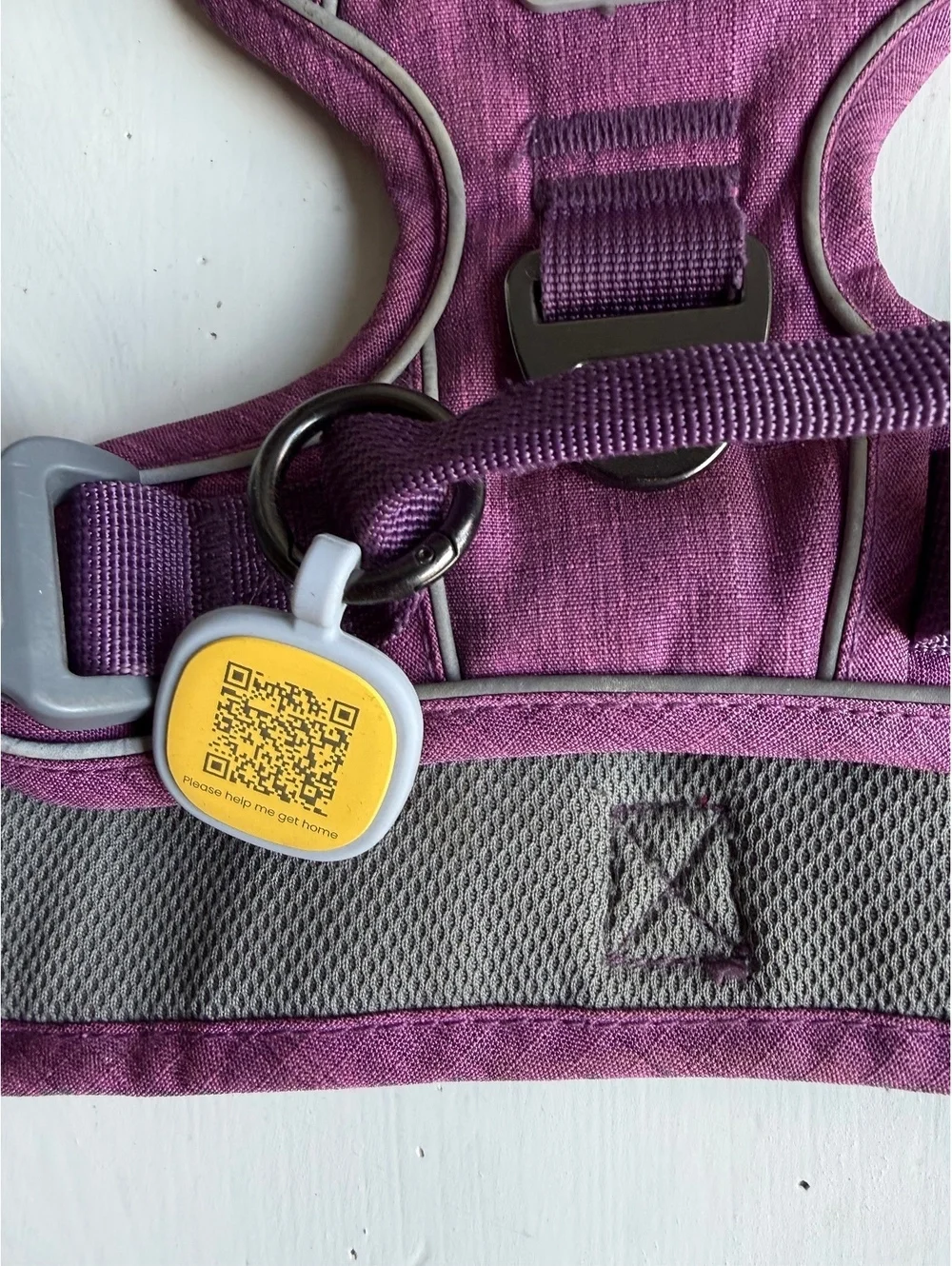 PAWAii Purple and Gray Medium Dog Harness